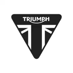 2100009-t0301 bovenste slang van Triumph, met onderdeel nummer 2100009T0301, bestel je hier online: