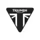 Rempedaal assy Triumph T2020289