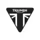 Bout h/hd m8 x 43 slv Triumph T3202334