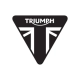 Remblokken Triumph 2020073T0301