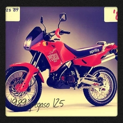 De onderdelen catalogus van de Aprilia Pegaso (211) 1989, 125cc