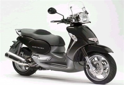 Todas las piezas originales y de repuesto para su Aprilia Scarabeo 125-250 660 2004 - 2006.