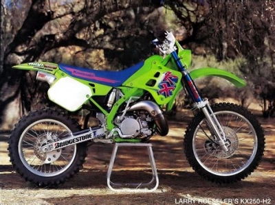 De onderdelen catalogus van de Kawasaki Kdx250 1991, 250cc